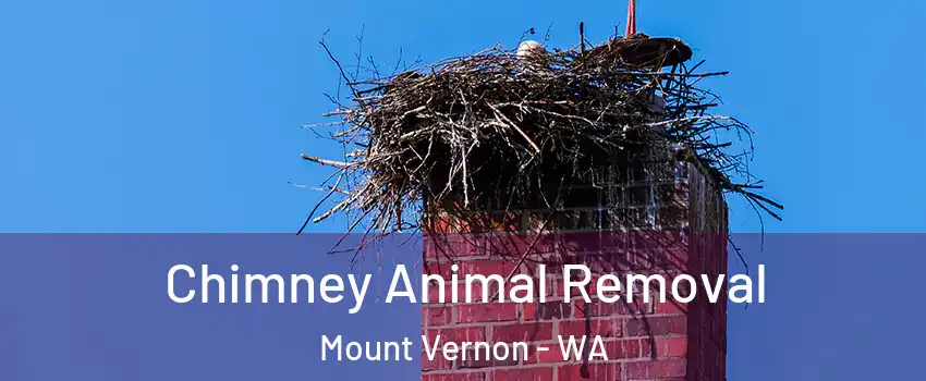 Chimney Animal Removal Mount Vernon - WA
