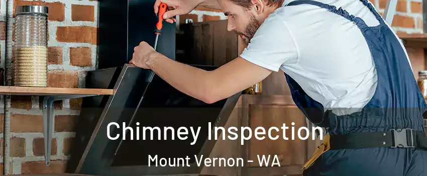 Chimney Inspection Mount Vernon - WA
