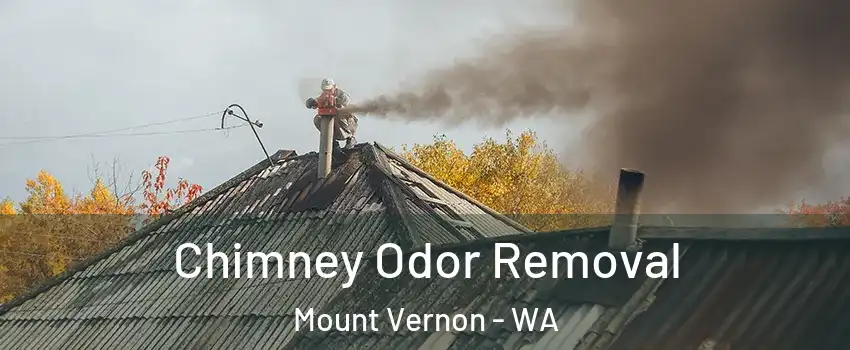  Chimney Odor Removal Mount Vernon - WA
