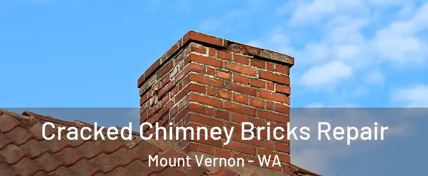  Cracked Chimney Bricks Repair Mount Vernon - WA