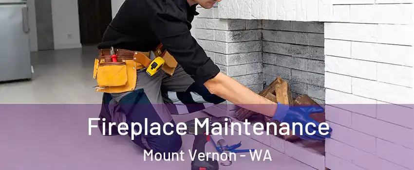  Fireplace Maintenance Mount Vernon - WA