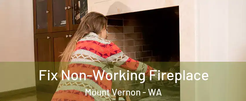 Fix Non-Working Fireplace Mount Vernon - WA