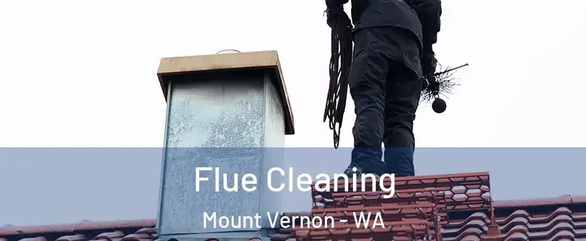  Flue Cleaning Mount Vernon - WA
