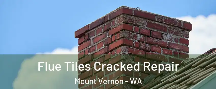  Flue Tiles Cracked Repair Mount Vernon - WA