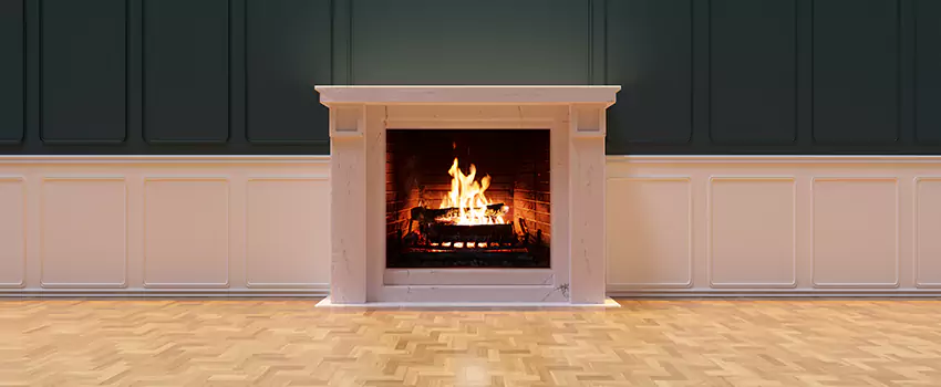 Napoleon Electric Fireplaces Inspection Service in Mount Vernon, Washington