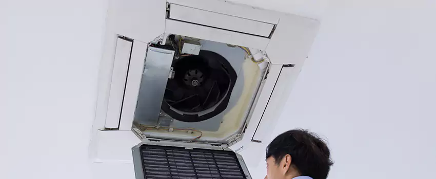 Benefits of Professional Air Duct Cleaning in Mount Vernon, Washington