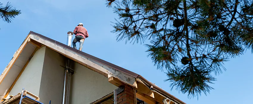 Birds Removal Contractors from Chimney in Mount Vernon, WA