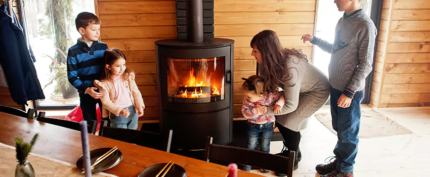 Jøtul Gas Fireplace Inspection Service in Mount Vernon, Washington