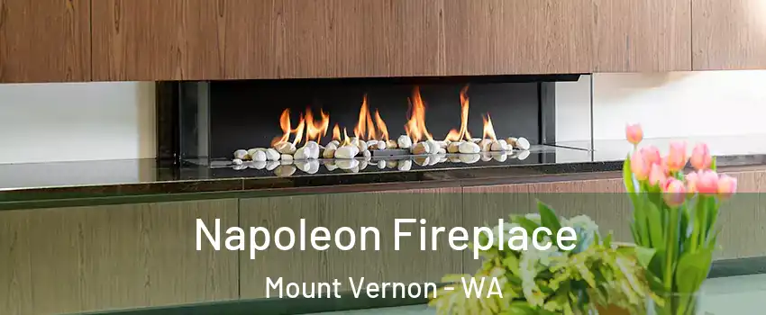  Napoleon Fireplace Mount Vernon - WA